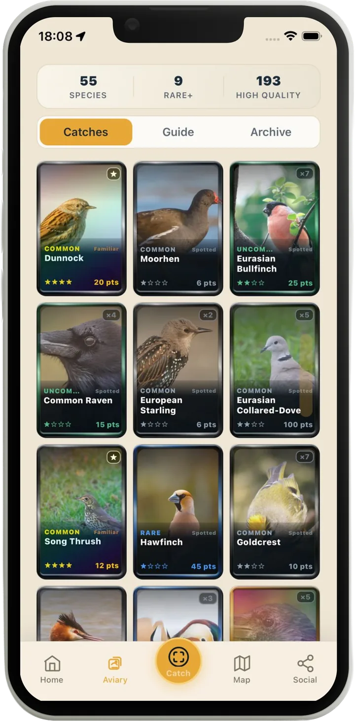 The Aviary in Lifer: a stats bar showing 55 species, 9 rare+ and 193 high-quality catches above a grid of collected bird cards with rarity, mastery, stars, and points