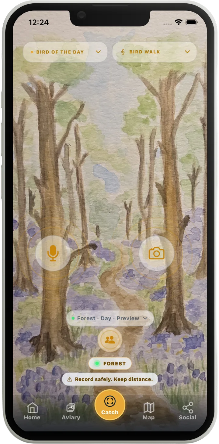 Catch screen in the Forest biome