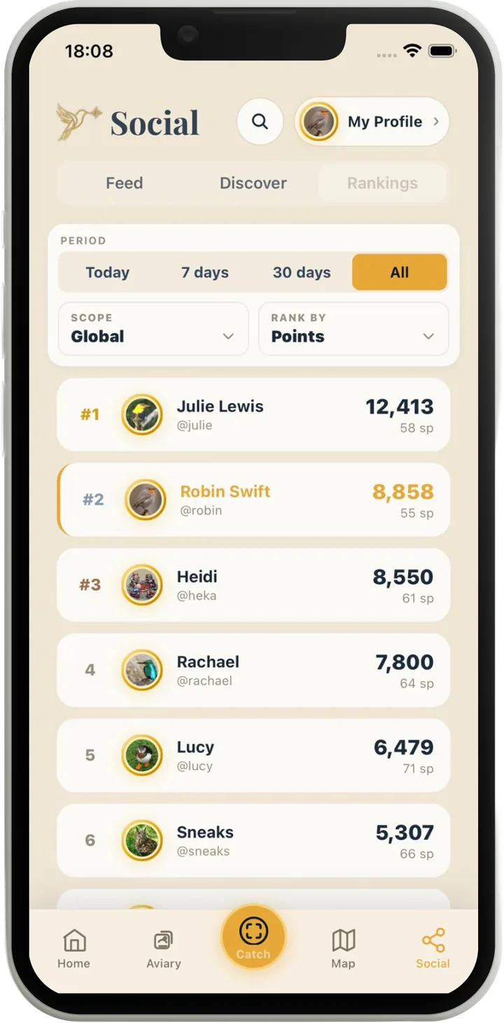 Lifer rankings: an all-time global leaderboard by points, with Today, 7 days, and 30 days periods and a scope switch between global and local