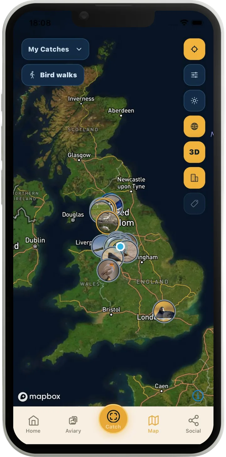 The Lifer map: satellite view of the UK with bird-photo catch markers clustered around real locations, plus My Catches and Bird walks layers and 3D map controls