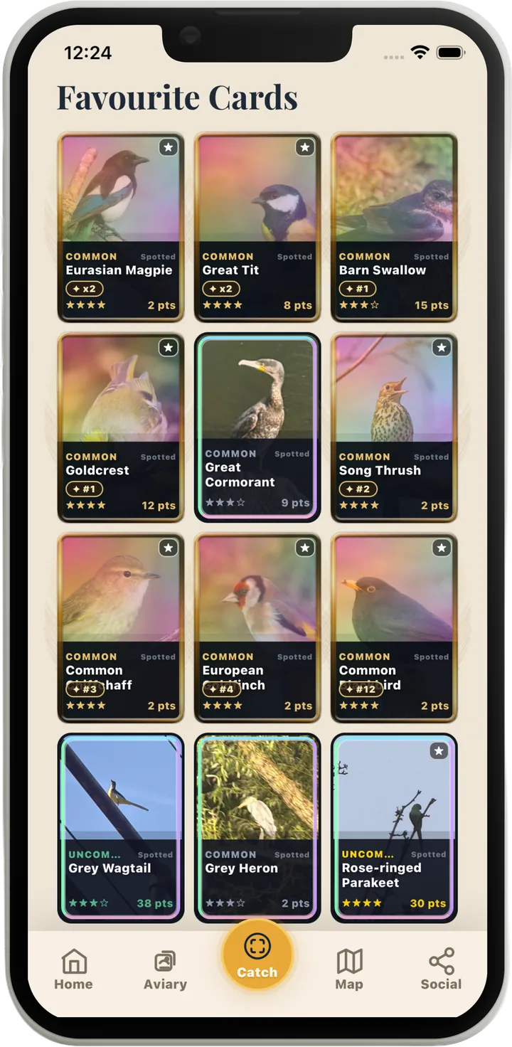 Favourite Cards: a hand-picked grid of twelve bird cards with golden and rainbow foil finishes on show