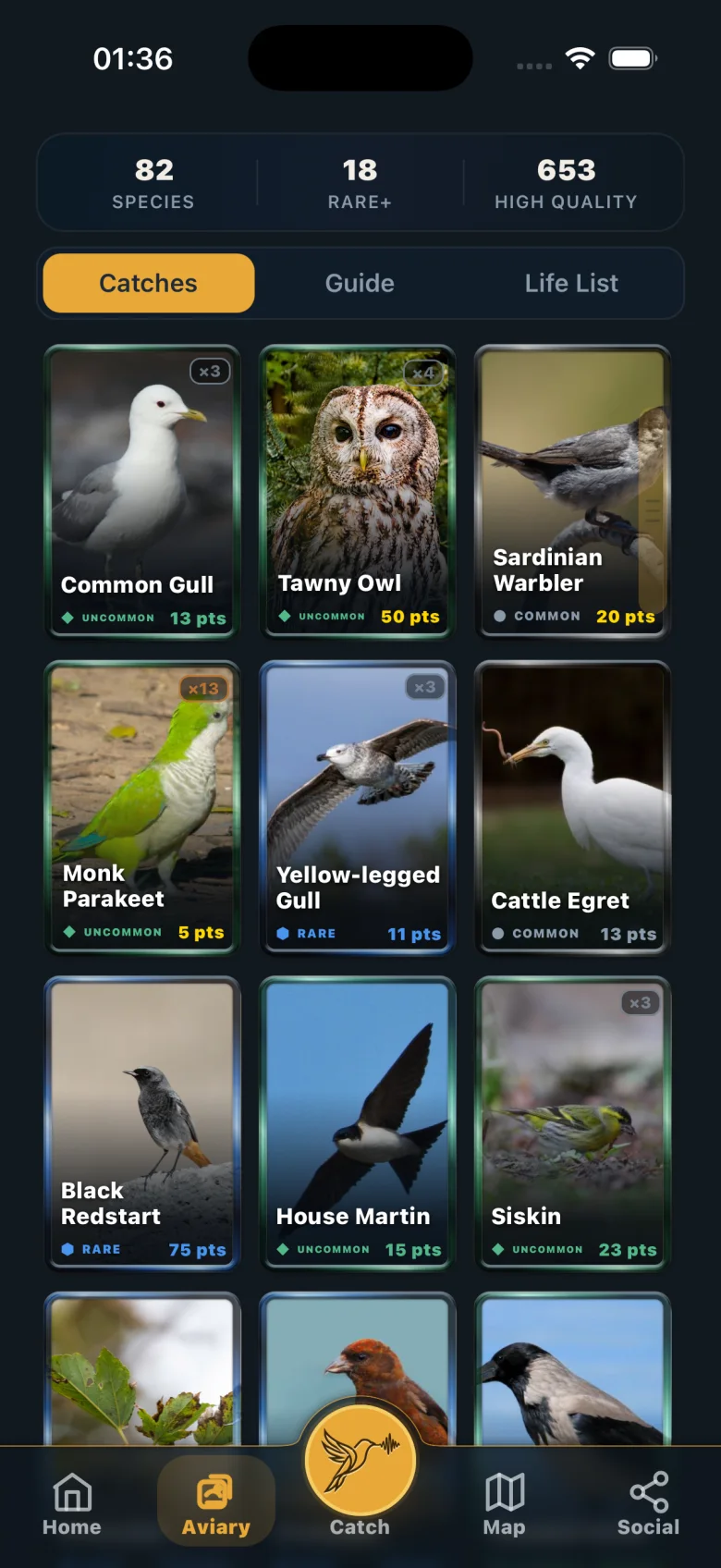 The Aviary: a grid of collected bird cards with species, rare and high-quality counts