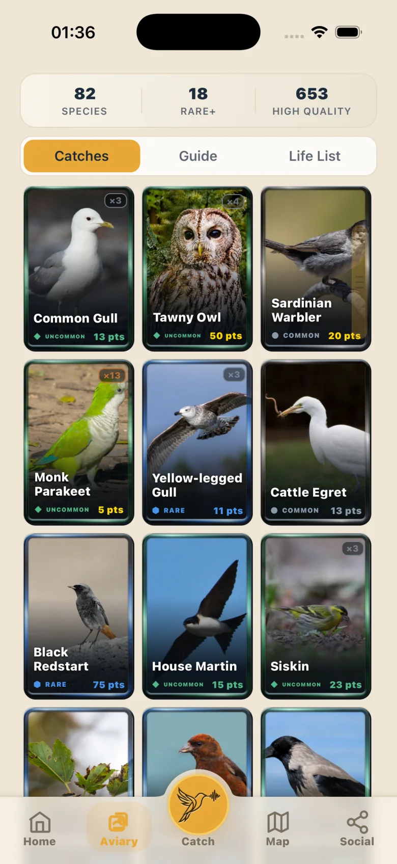 The Aviary: a grid of collected bird cards with species, rare and high-quality counts