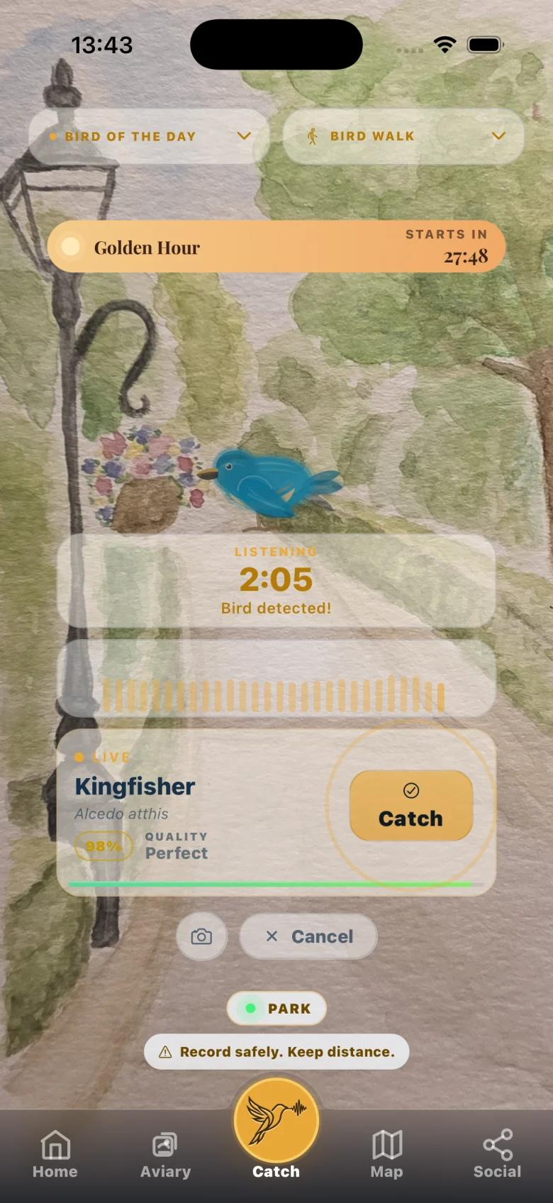 The Catch screen hearing a Kingfisher at the park, with Catch ready