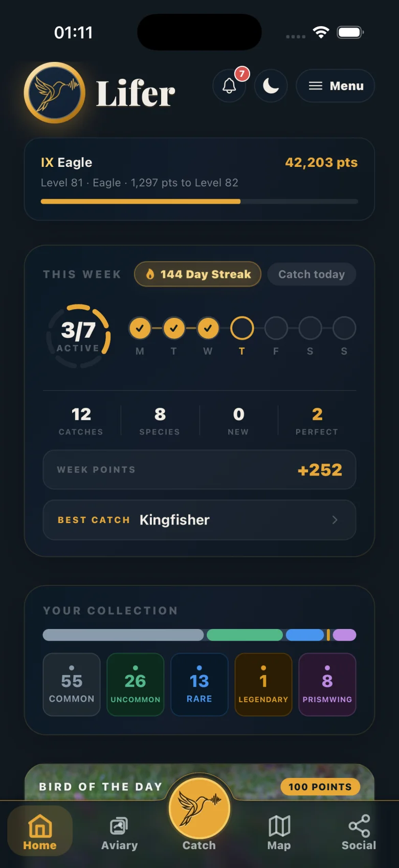 The Lifer home screen: level and points, a 144-day streak, this week's catches and your collection by rarity