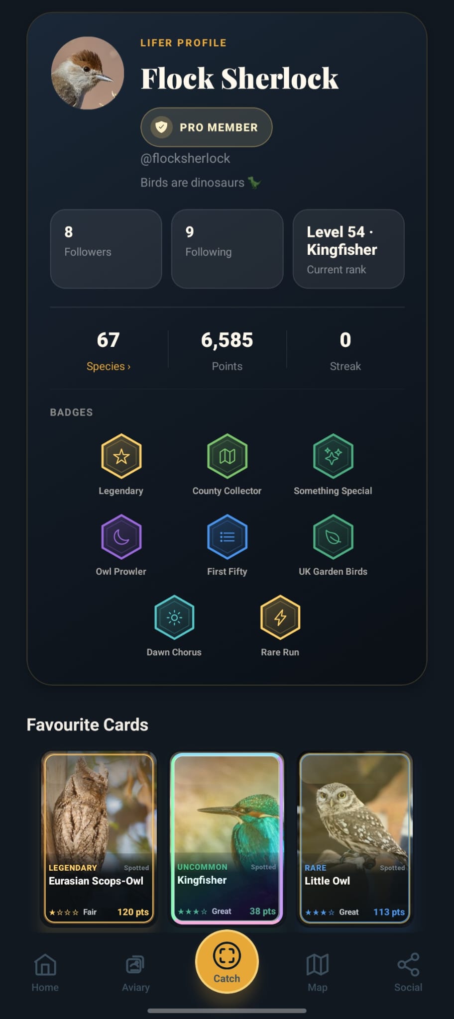Lifer public profile showing milestone badges and favourite cards