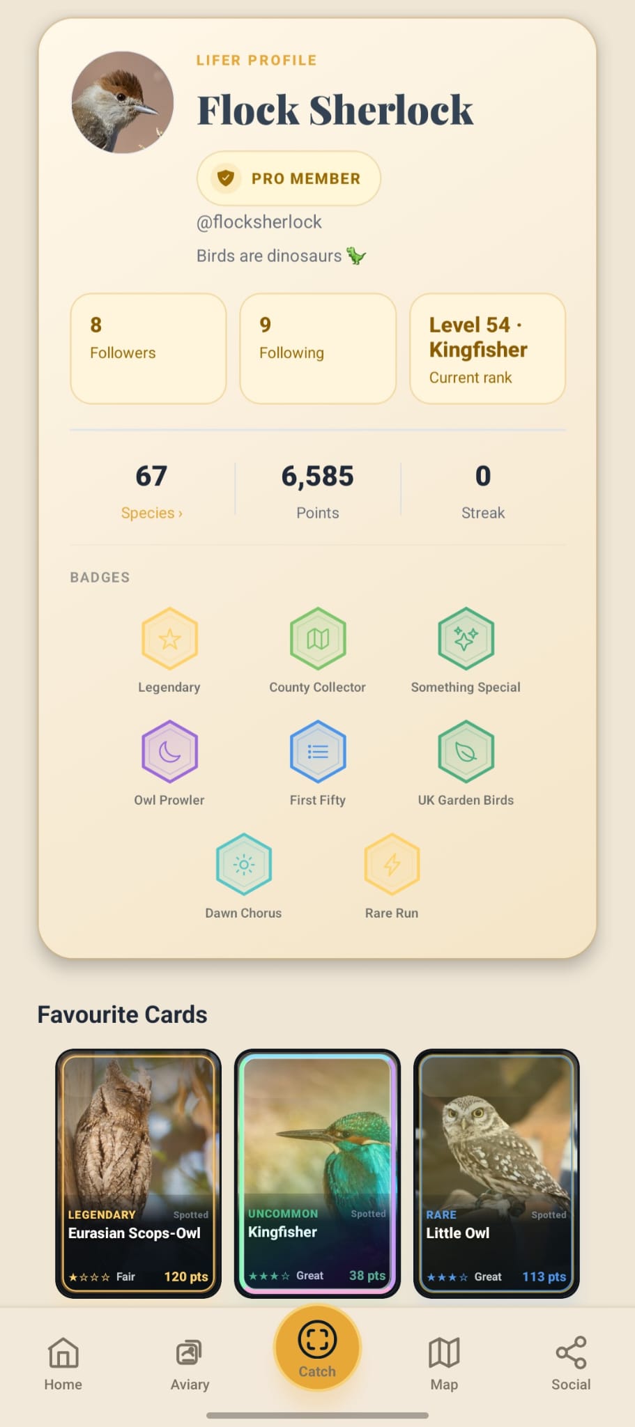 Lifer public profile showing milestone badges and favourite cards